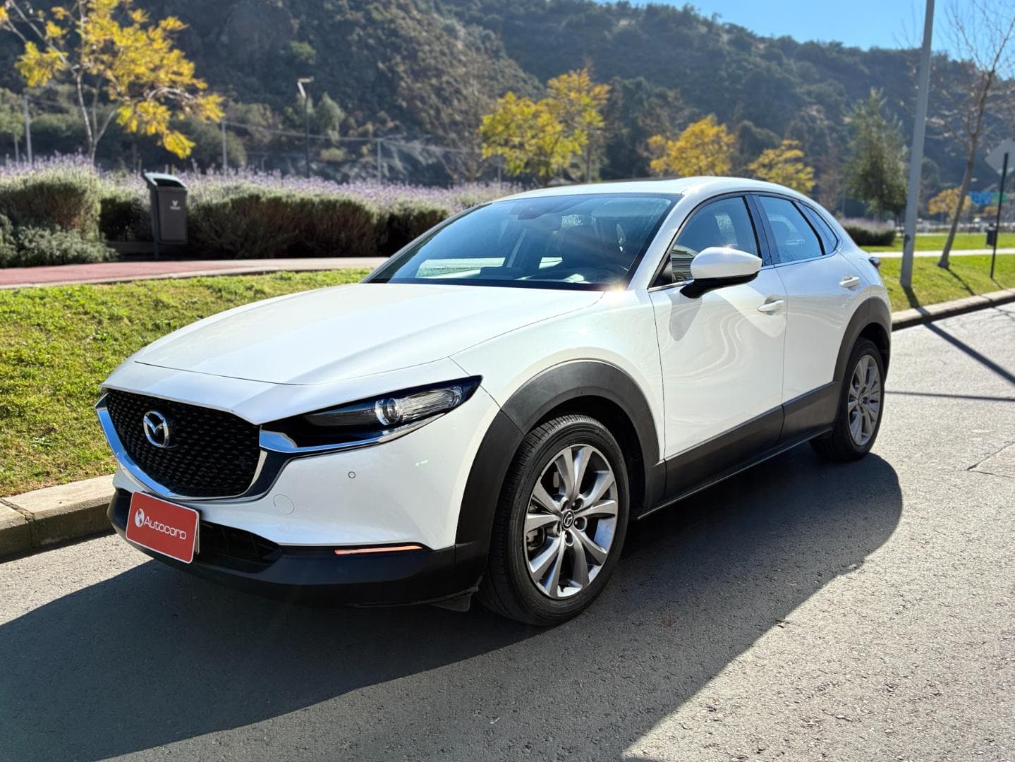 Mazda Cx30 Gtx